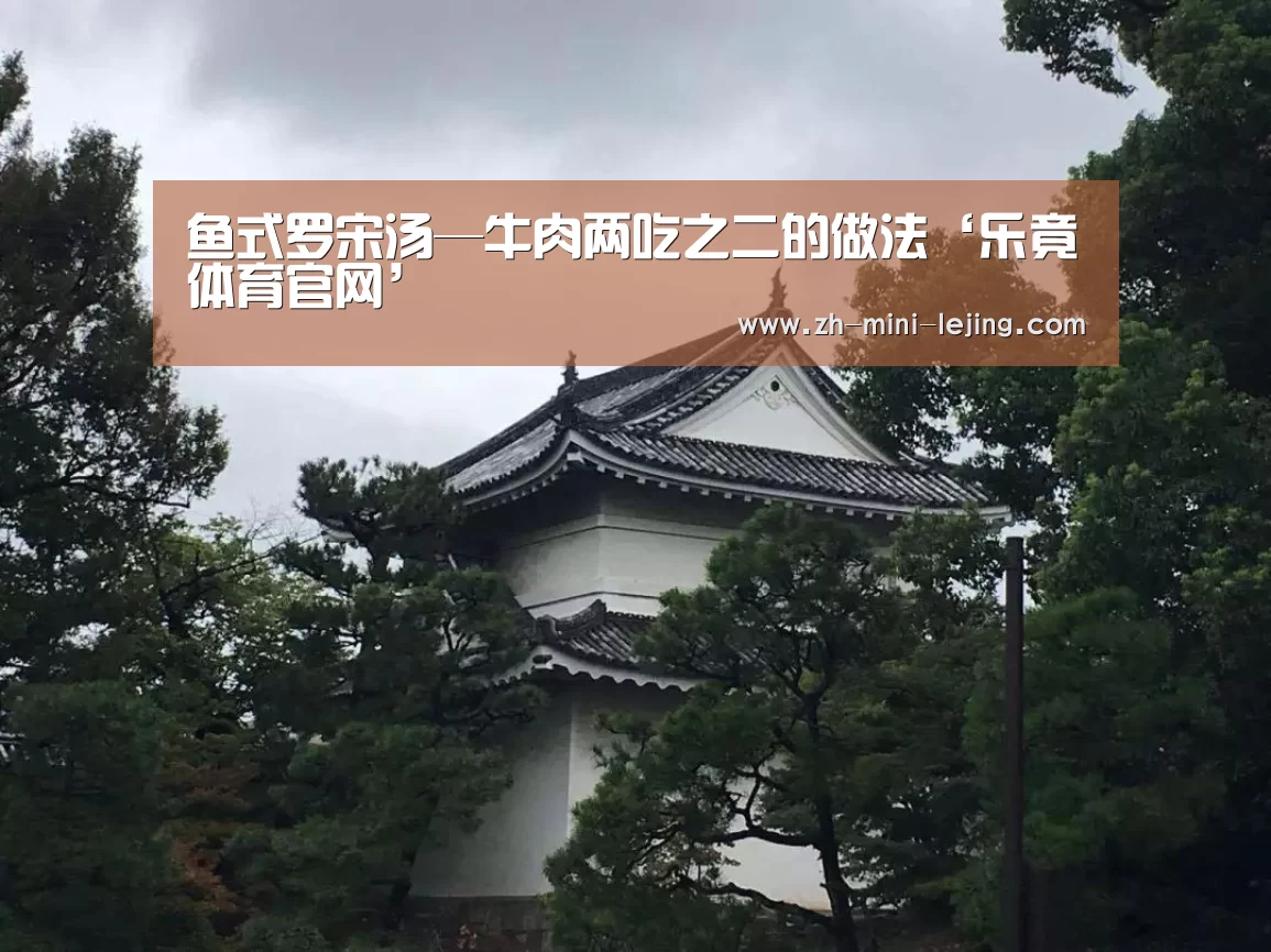 鱼式罗宋汤—牛肉两吃之二的做法‘乐竟体育官网’(图2) 乐竟APP最新版本下载