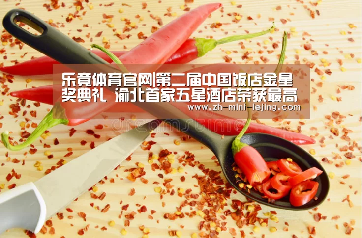 使用指南