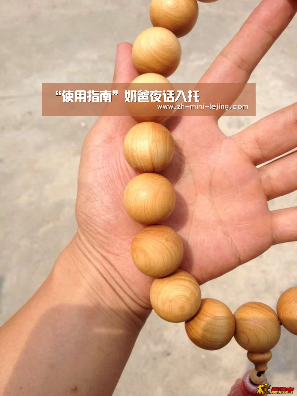 乐竟体育官网