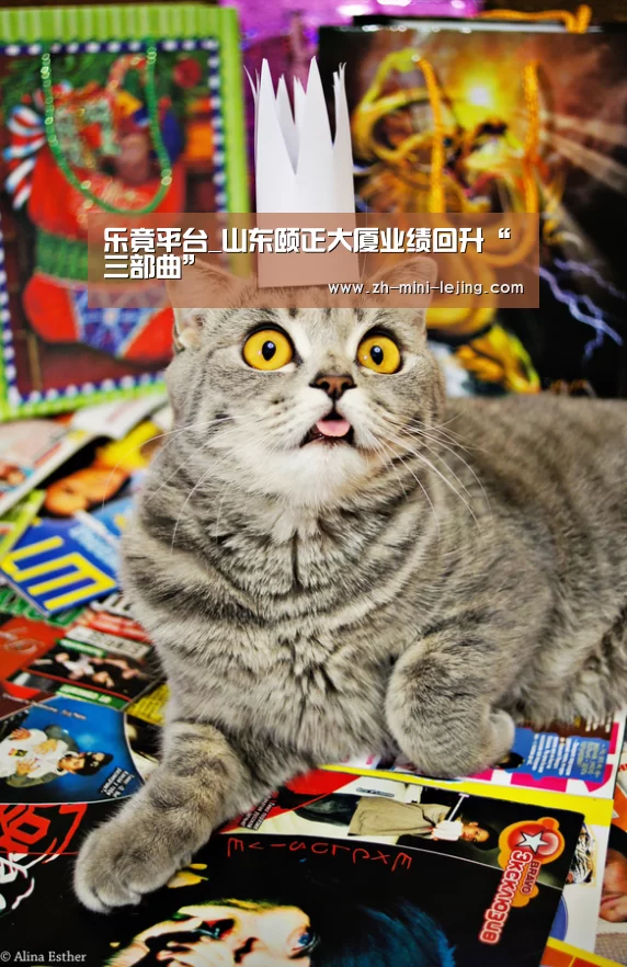 使用指南