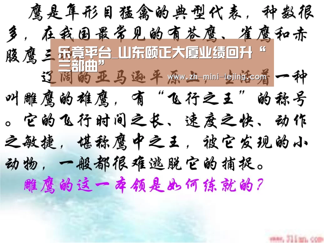 使用指南