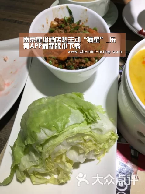 南京星级酒店想主动“摘星”_乐竟APP最新版本下载(图1) 使用指南