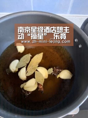 南京星级酒店想主动“摘星”_乐竟APP最新版本下载(图3) 使用指南