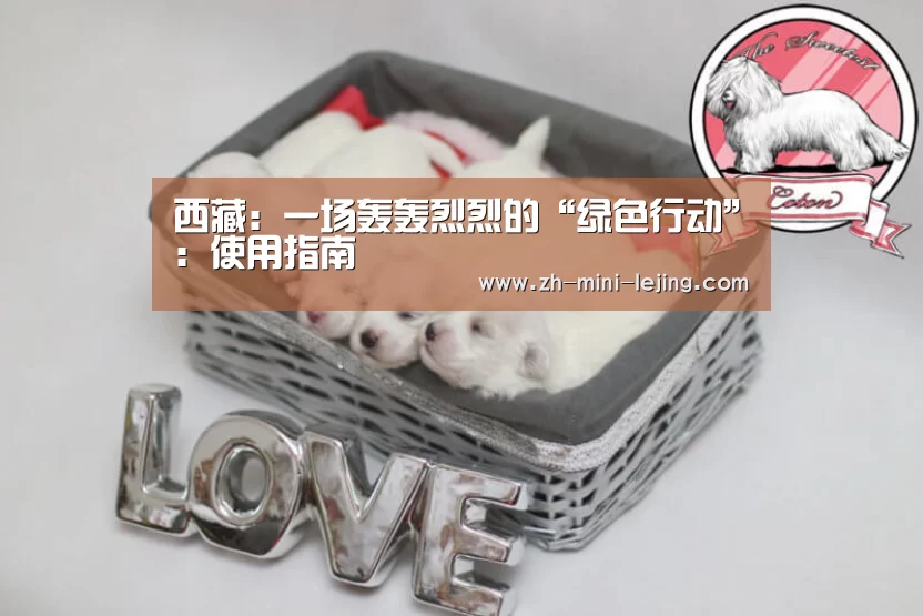 西藏:一场轰轰烈烈的“绿色行动”:使用指南(图2) 乐竟体育官网