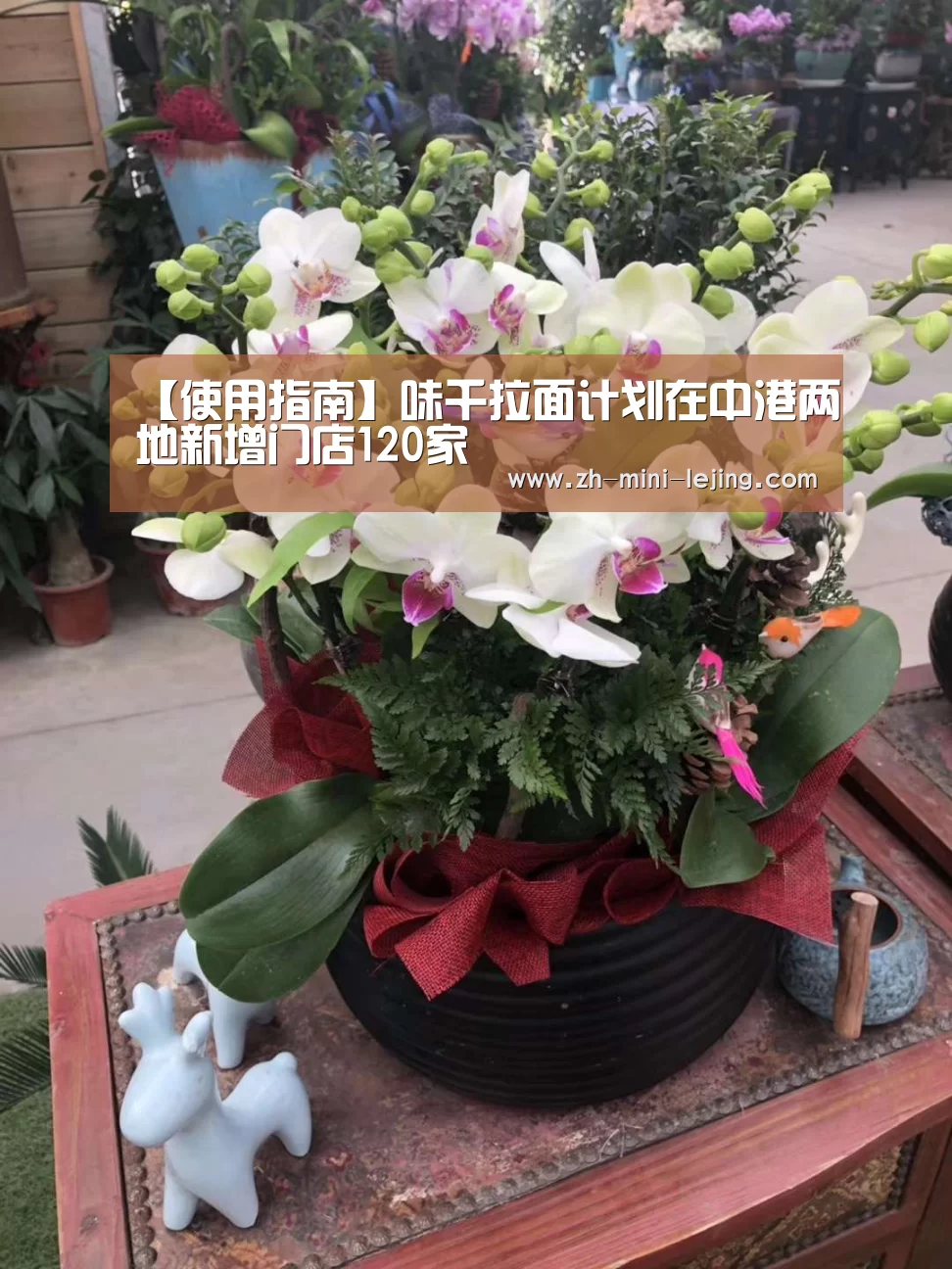 【使用指南】味千拉面计划在中港两地新增门店120家(图1) 乐竟APP最新版本下载
