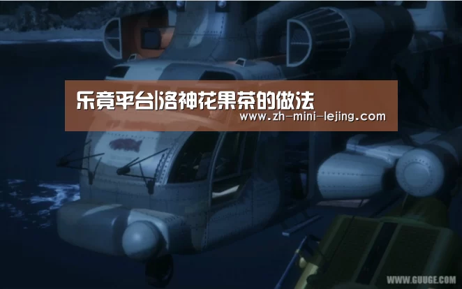 乐竟平台|洛神花果茶的做法(图1) 乐竟平台