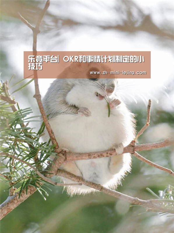乐竟平台|
OKR和事情计划制定的小技巧(图1) 使用指南