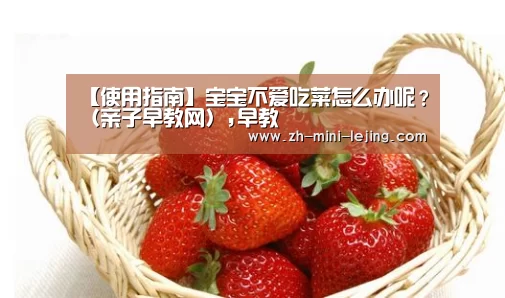 使用指南